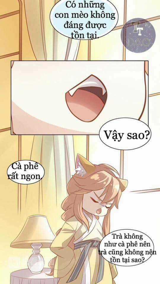 Dưới Móng Vuốt Mèo - Chapter 8 - Trang 44