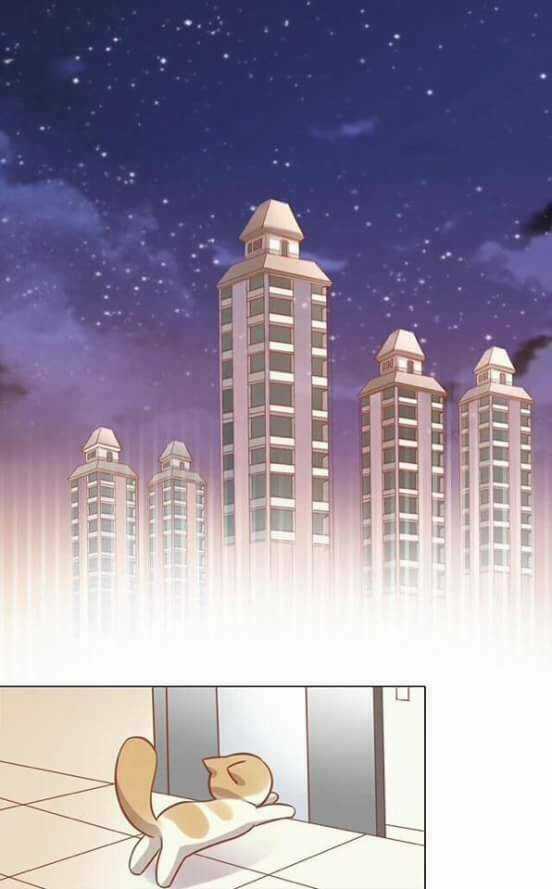 Dưới Móng Vuốt Mèo - Chapter 8 - Trang 48