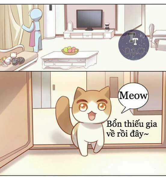 Dưới Móng Vuốt Mèo - Chapter 8 - Trang 49