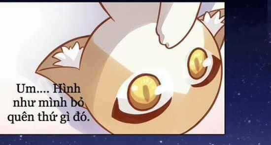 Dưới Móng Vuốt Mèo - Chapter 8 - Trang 53