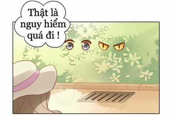 Dưới Móng Vuốt Mèo - Chapter 8 - Trang 7