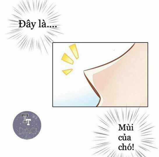Dưới Móng Vuốt Mèo - Chapter 8 - Trang 9