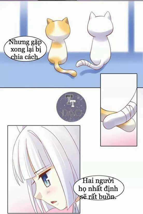 Dưới Móng Vuốt Mèo - Chapter 9 - Trang 16