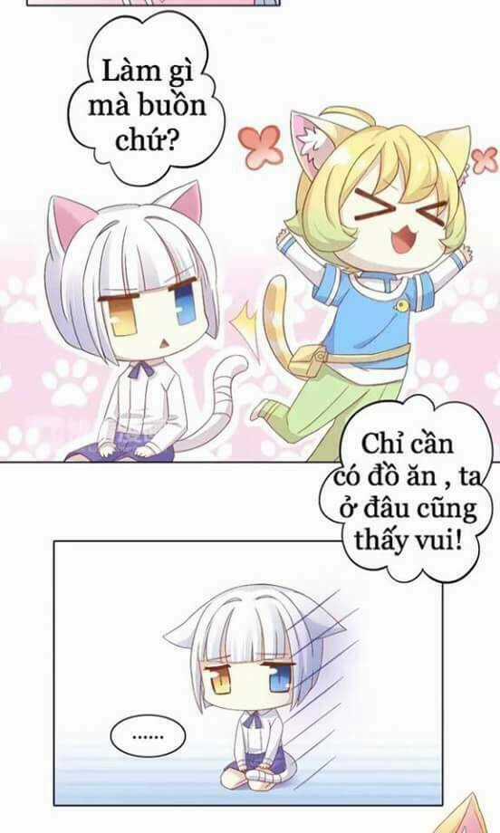 Dưới Móng Vuốt Mèo - Chapter 9 - Trang 17