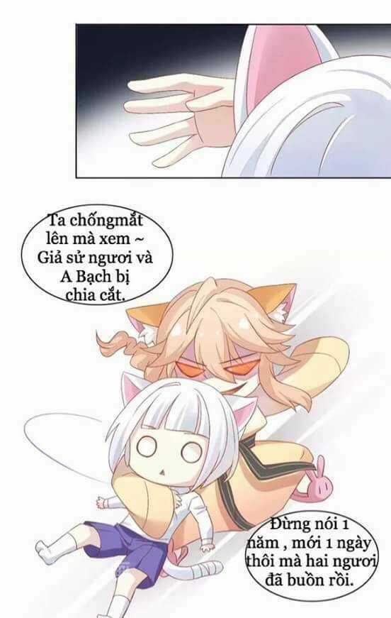 Dưới Móng Vuốt Mèo - Chapter 9 - Trang 19