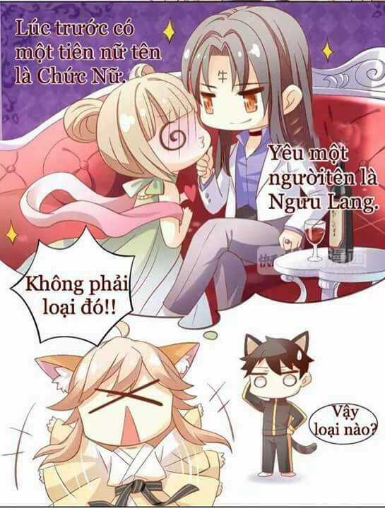 Dưới Móng Vuốt Mèo - Chapter 9 - Trang 7