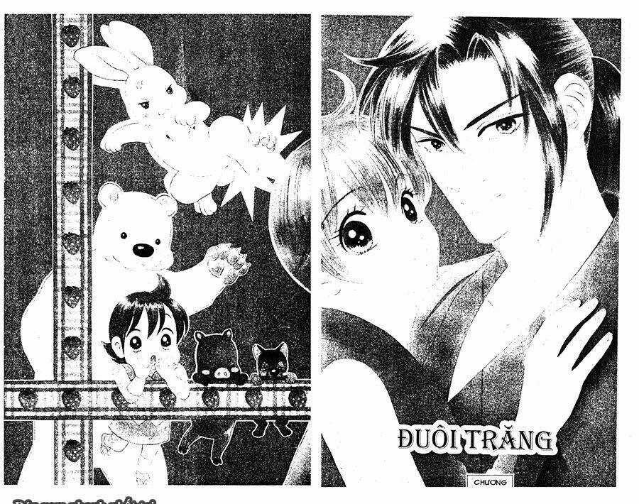 Đuôi Trăng - Chapter 29 - Trang 4