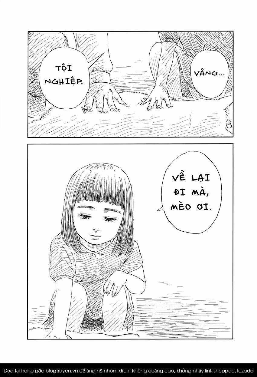 Đường Mòn Máu - Chapter 138 - Trang 14