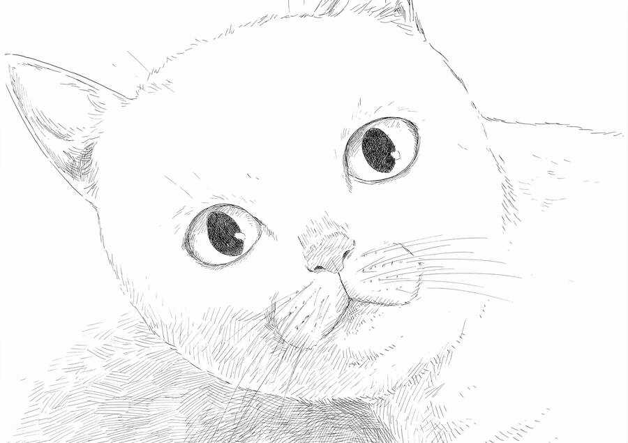 Đường Mòn Máu - Chapter 138 - Trang 18