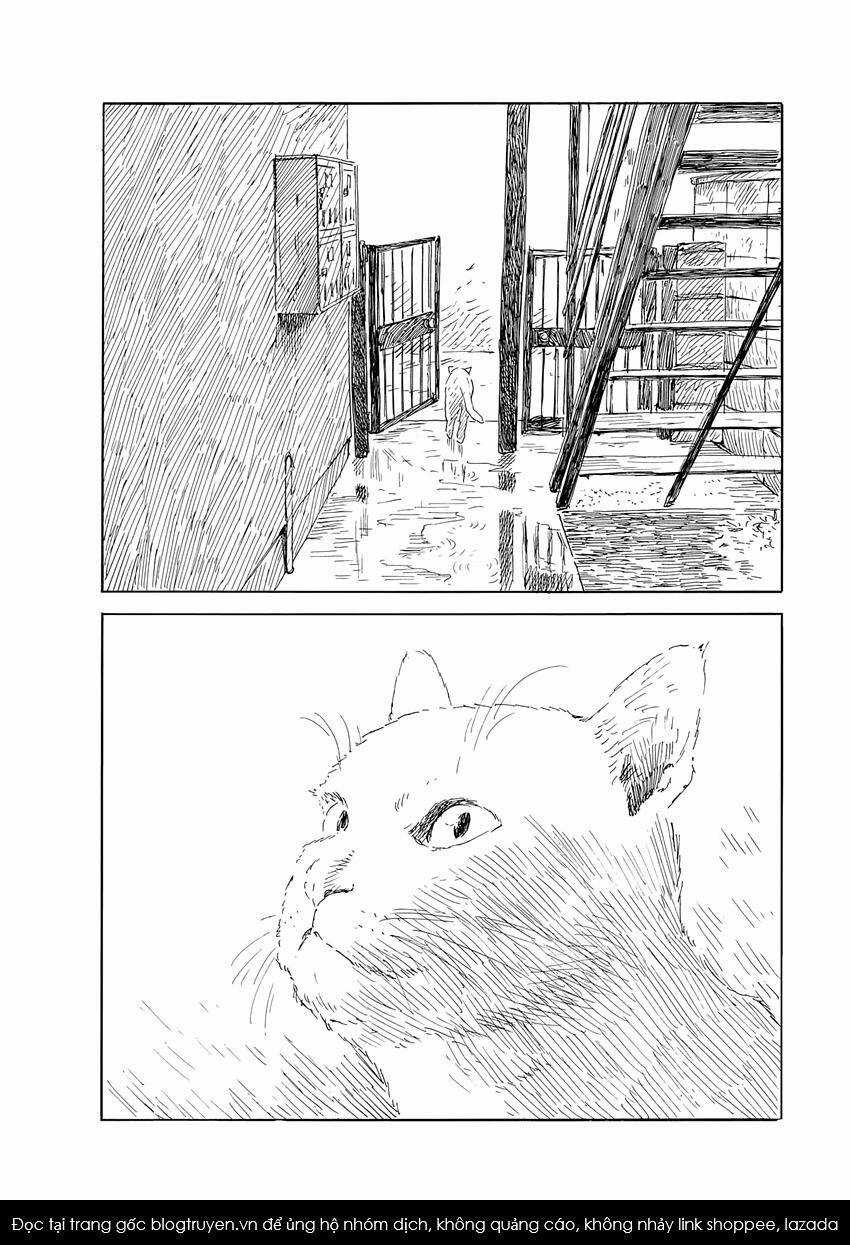 Đường Mòn Máu - Chapter 139 - Trang 23