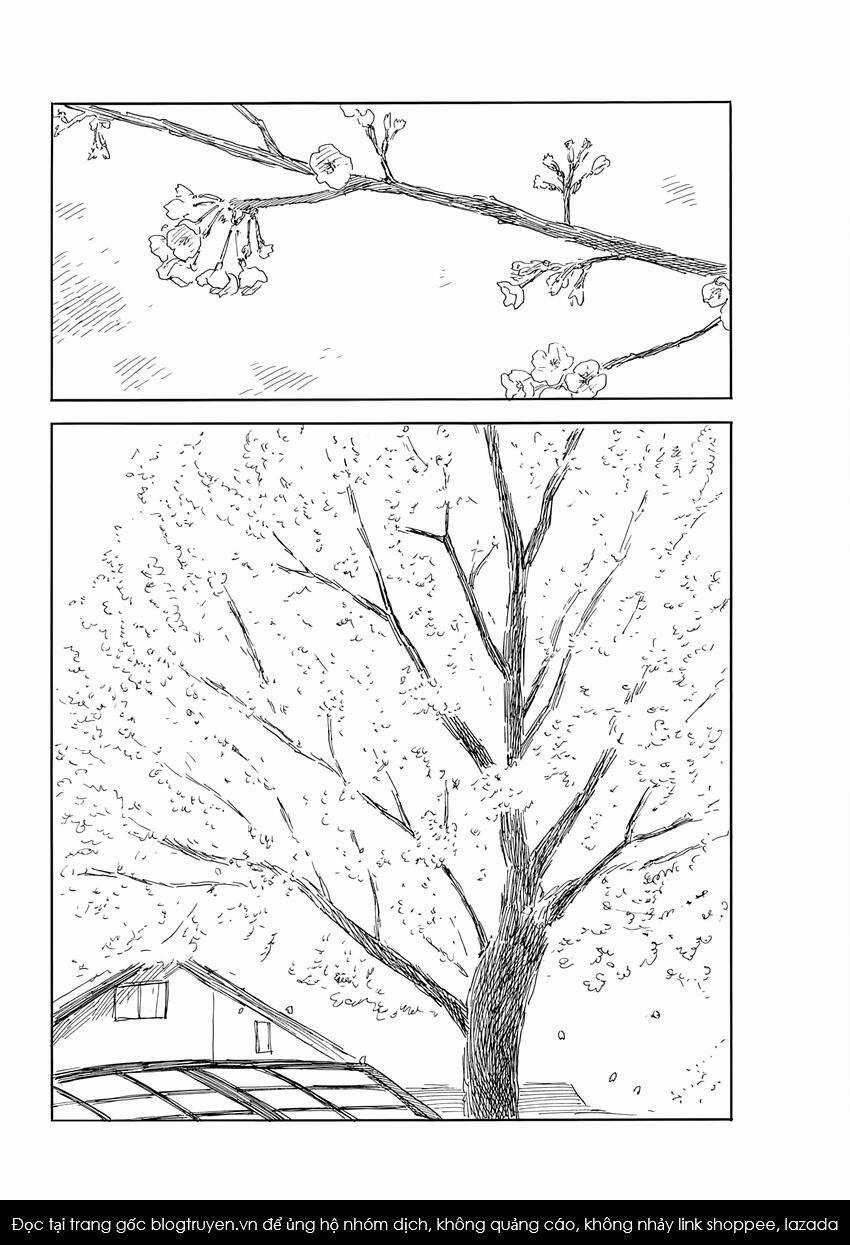 Đường Mòn Máu - Chapter 140 - Trang 8