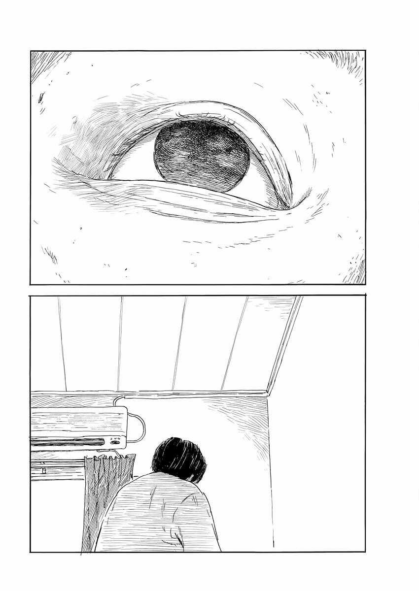 Đường Mòn Máu - Chapter 146 - Trang 11