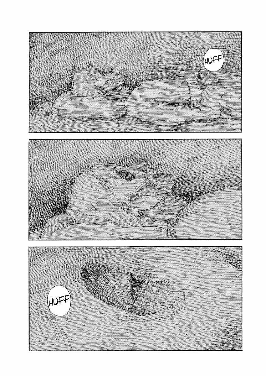 Đường Mòn Máu - Chapter 147 - Trang 14