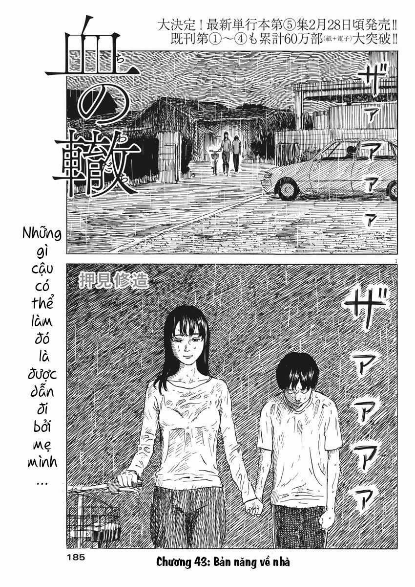 Đường Mòn Máu - Chapter 43 - Trang 3