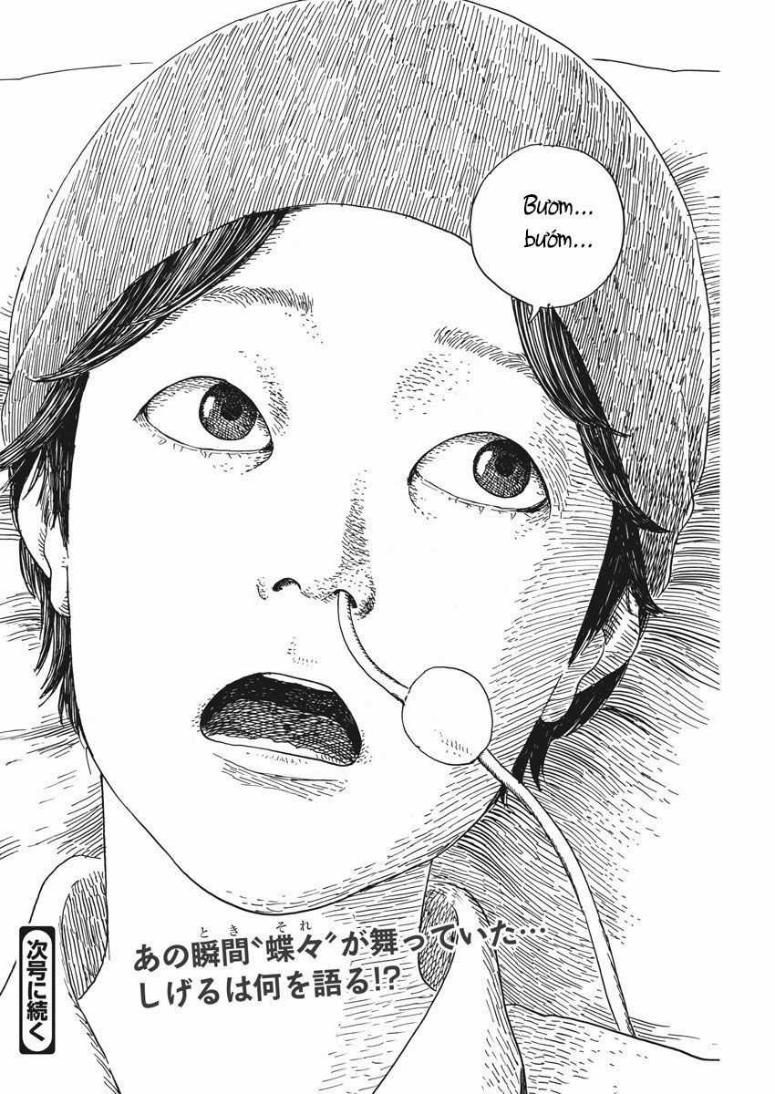 Đường Mòn Máu - Chapter 50 - Trang 25