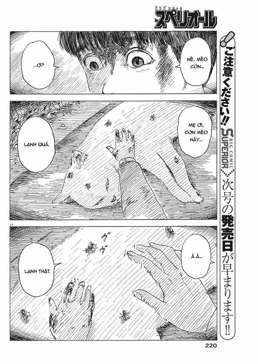 Đường Mòn Máu - Chapter 78 - Trang 17