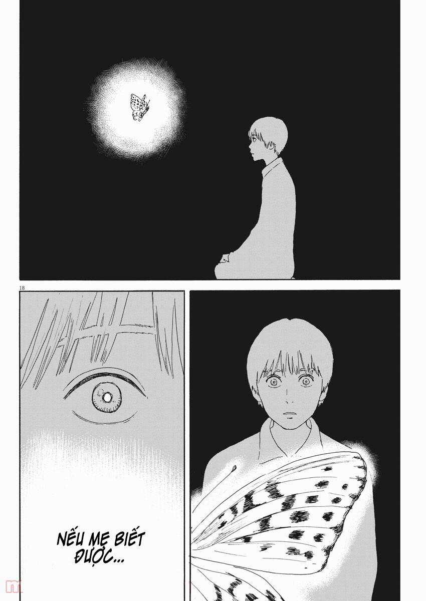 Đường Mòn Máu - Chapter 98 - Trang 21