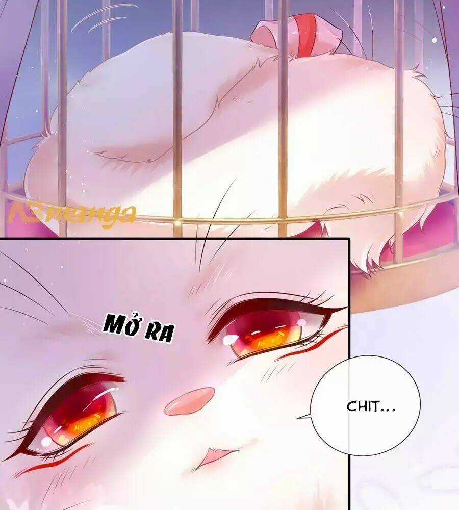 Dưỡng Thú Vi Phi - Chapter 1 - Trang 29