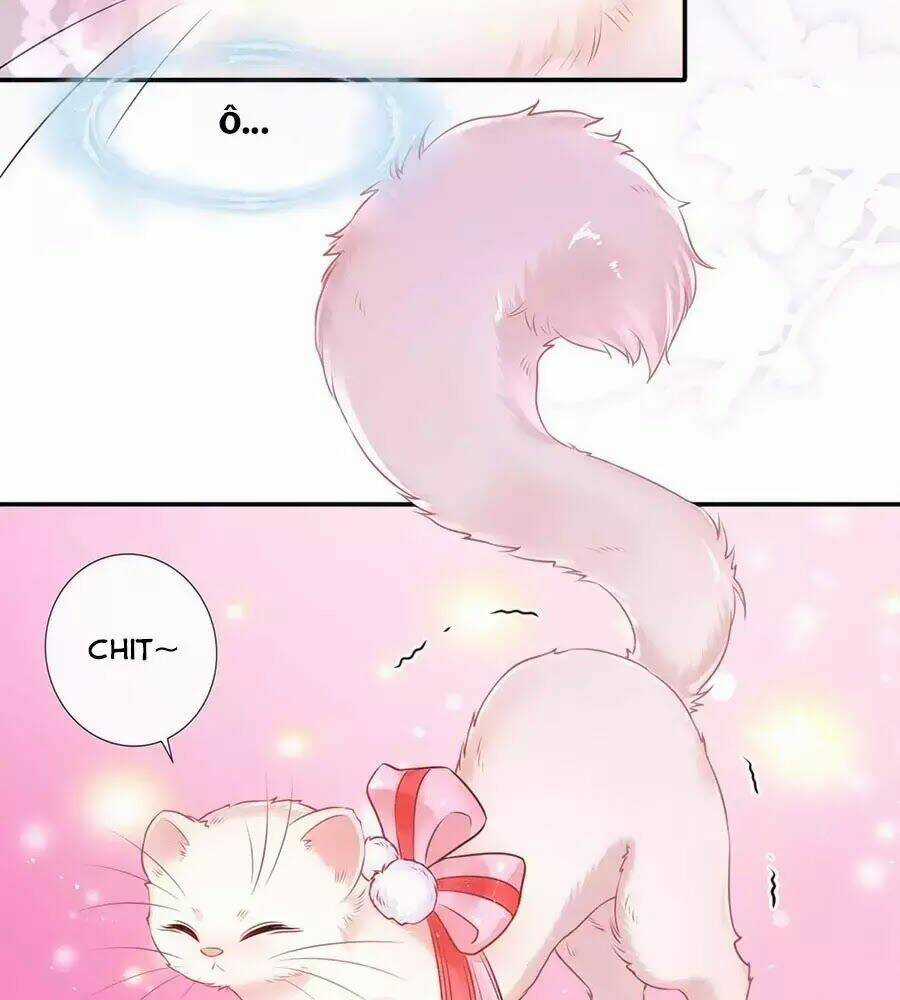 Dưỡng Thú Vi Phi - Chapter 1 - Trang 30