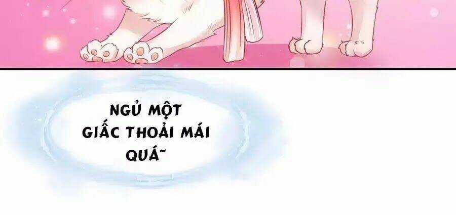 Dưỡng Thú Vi Phi - Chapter 1 - Trang 31