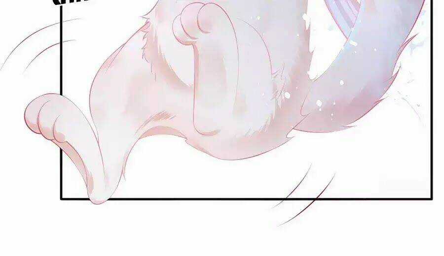 Dưỡng Thú Vi Phi - Chapter 1 - Trang 52