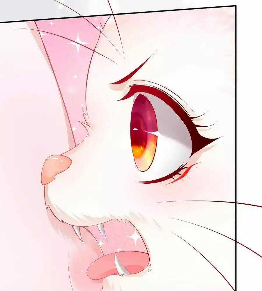 Dưỡng Thú Vi Phi - Chapter 1 - Trang 57