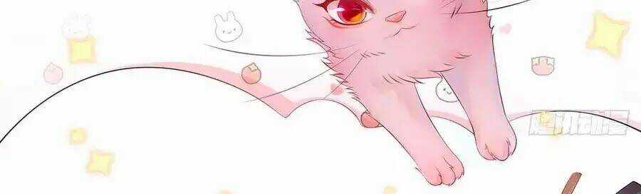 Dưỡng Thú Vi Phi - Chapter 1 - Trang 68