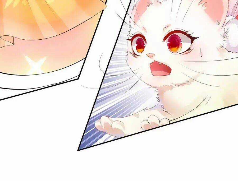 Dưỡng Thú Vi Phi - Chapter 1 - Trang 71