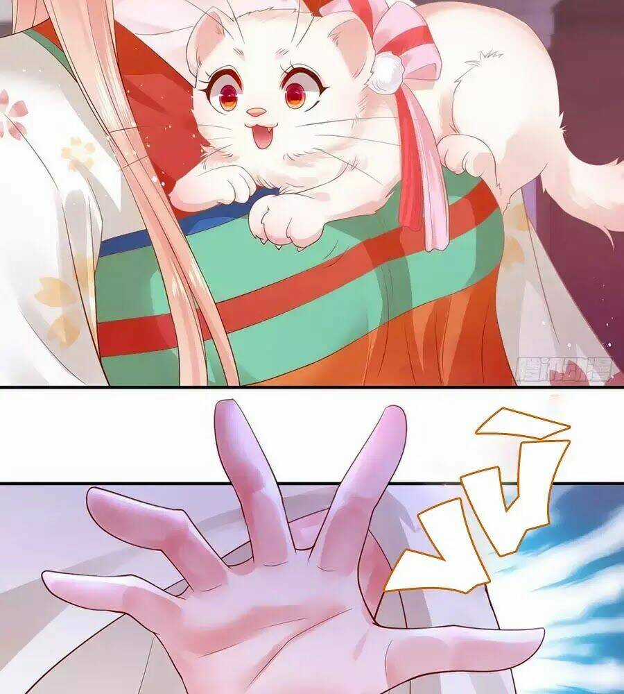 Dưỡng Thú Vi Phi - Chapter 1 - Trang 82