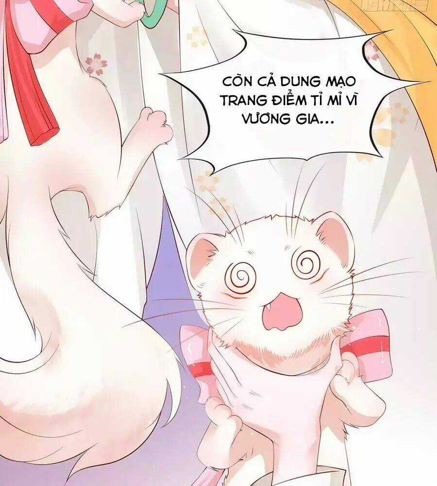 Dưỡng Thú Vi Phi - Chapter 1 - Trang 85