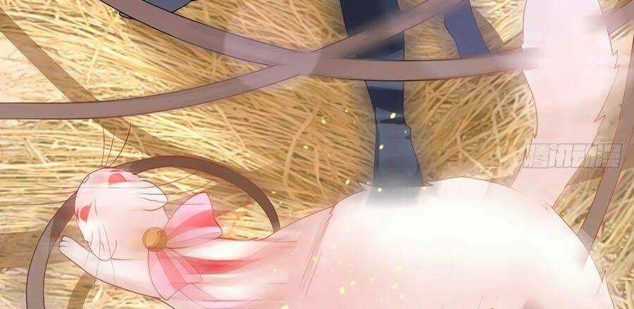 Dưỡng Thú Vi Phi - Chapter 12 - Trang 11