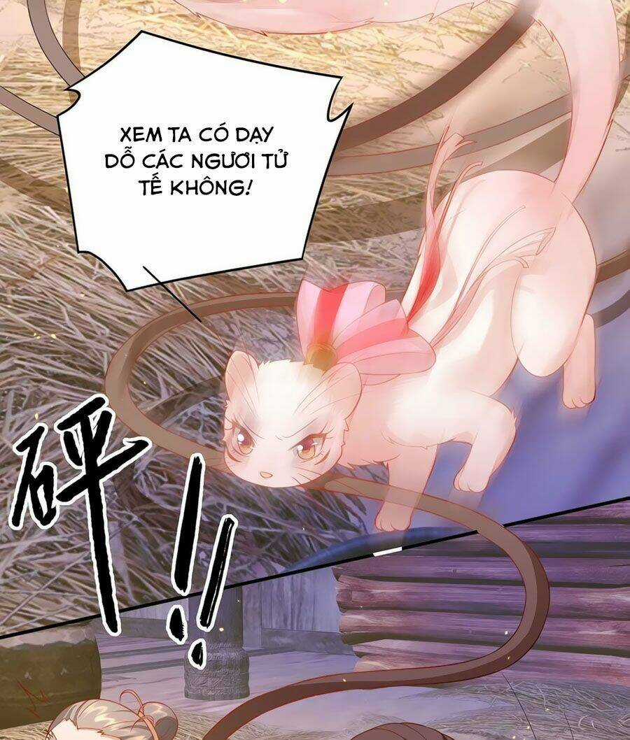 Dưỡng Thú Vi Phi - Chapter 12 - Trang 12