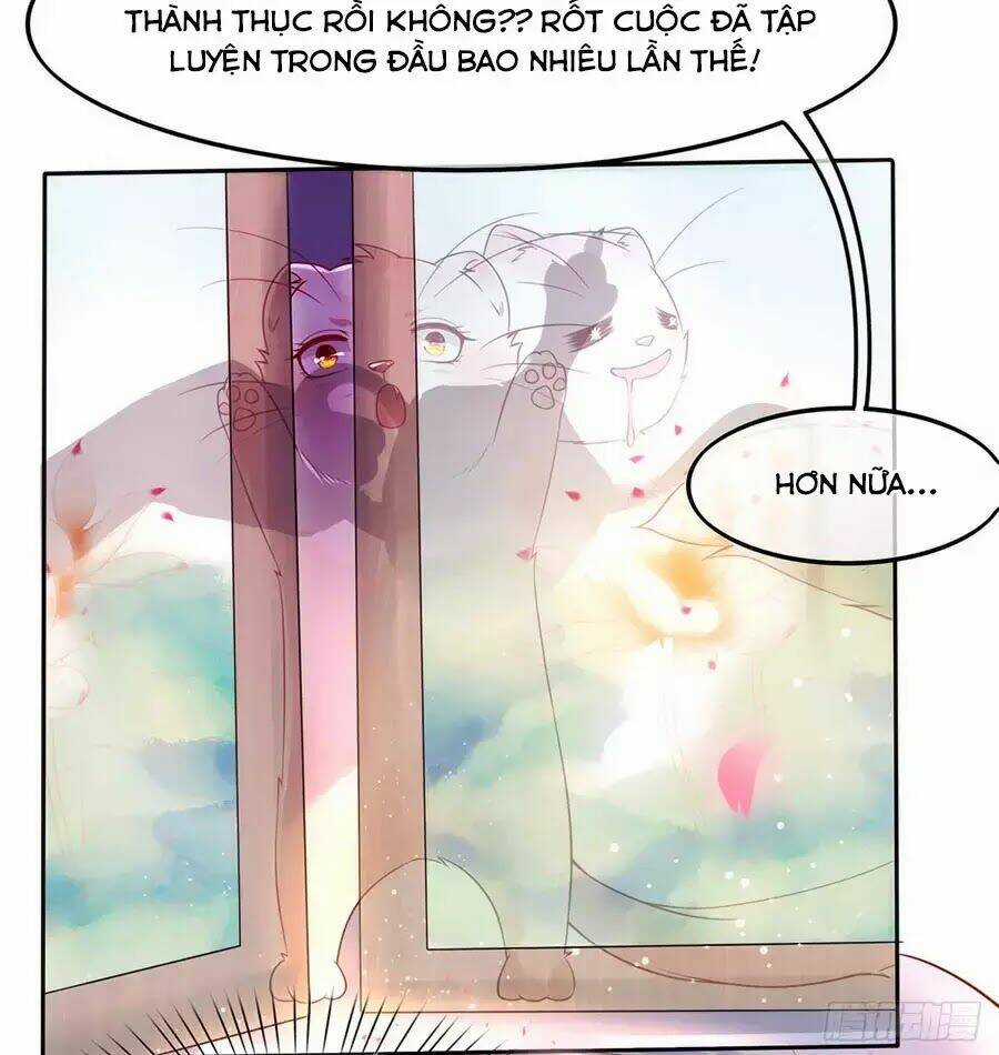 Dưỡng Thú Vi Phi - Chapter 2 - Trang 11