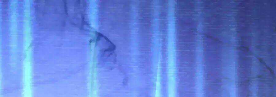 Dưỡng Thú Vi Phi - Chapter 2 - Trang 25