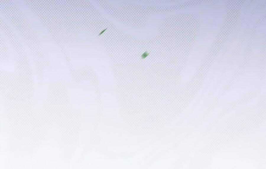 Dưỡng Thú Vi Phi - Chapter 21 - Trang 52