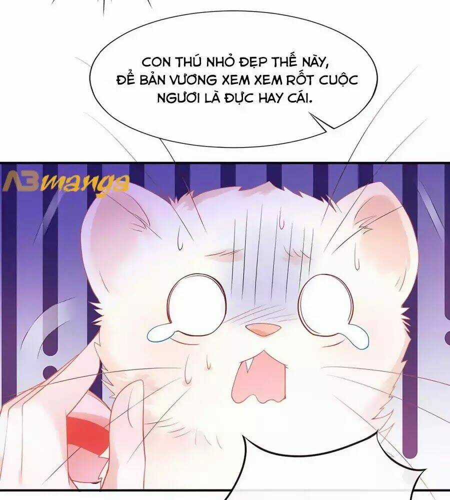 Dưỡng Thú Vi Phi - Chapter 3 - Trang 15