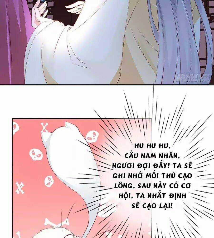 Dưỡng Thú Vi Phi - Chapter 3 - Trang 23