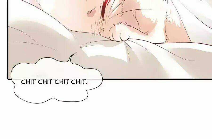 Dưỡng Thú Vi Phi - Chapter 3 - Trang 42