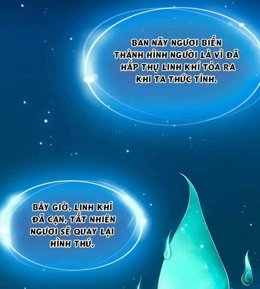 Dưỡng Thú Vi Phi - Chapter 4 - Trang 13