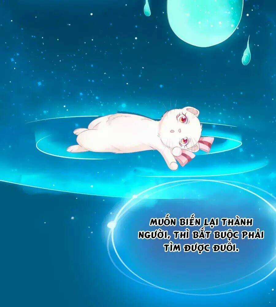 Dưỡng Thú Vi Phi - Chapter 4 - Trang 14