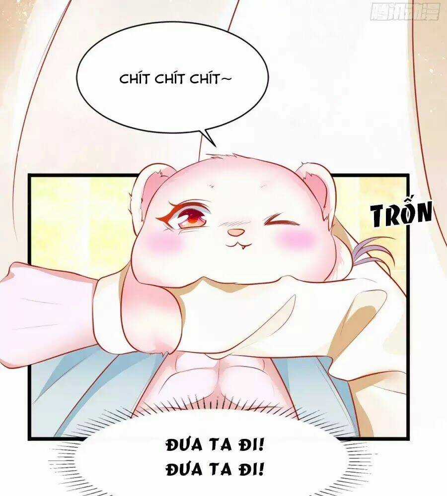 Dưỡng Thú Vi Phi - Chapter 4 - Trang 28