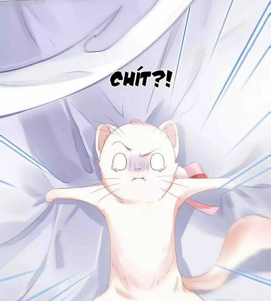 Dưỡng Thú Vi Phi - Chapter 4 - Trang 7