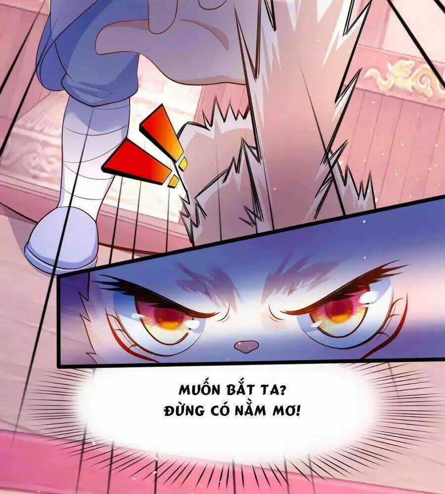 Dưỡng Thú Vi Phi - Chapter 4 - Trang 68