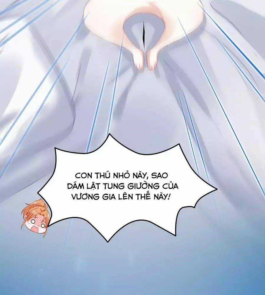 Dưỡng Thú Vi Phi - Chapter 4 - Trang 8