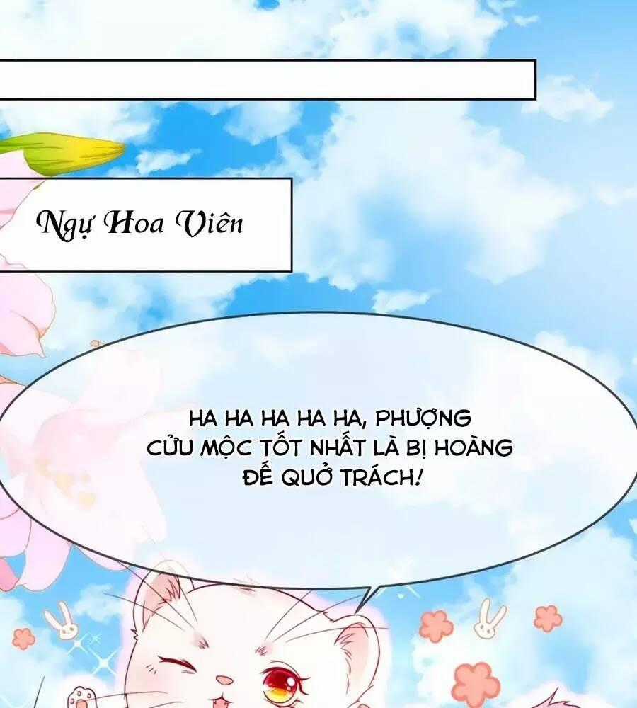 Dưỡng Thú Vi Phi - Chapter 5 - Trang 1