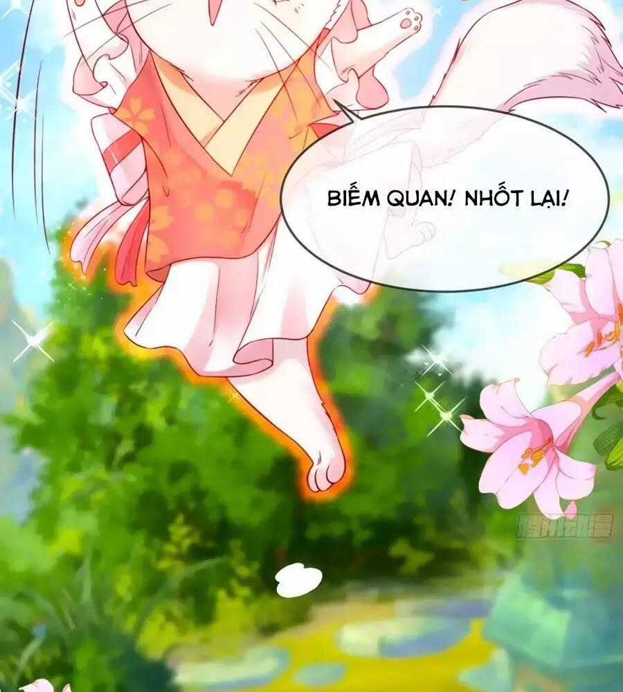 Dưỡng Thú Vi Phi - Chapter 5 - Trang 2