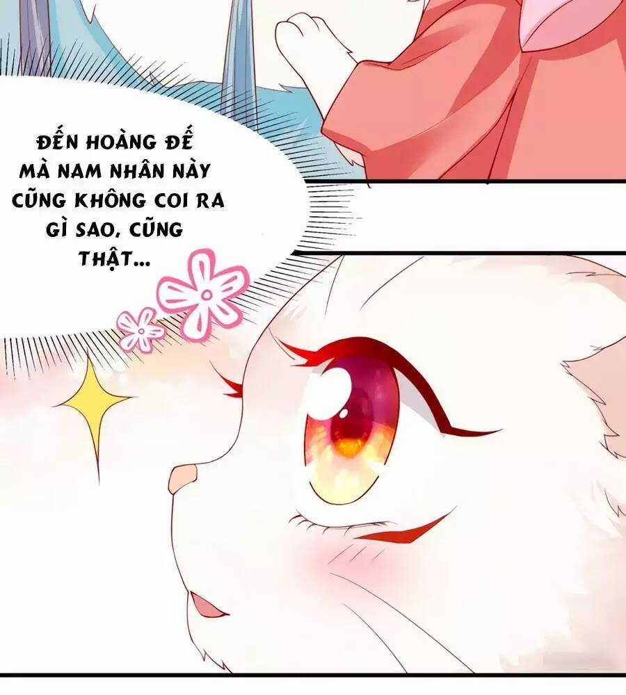 Dưỡng Thú Vi Phi - Chapter 5 - Trang 119