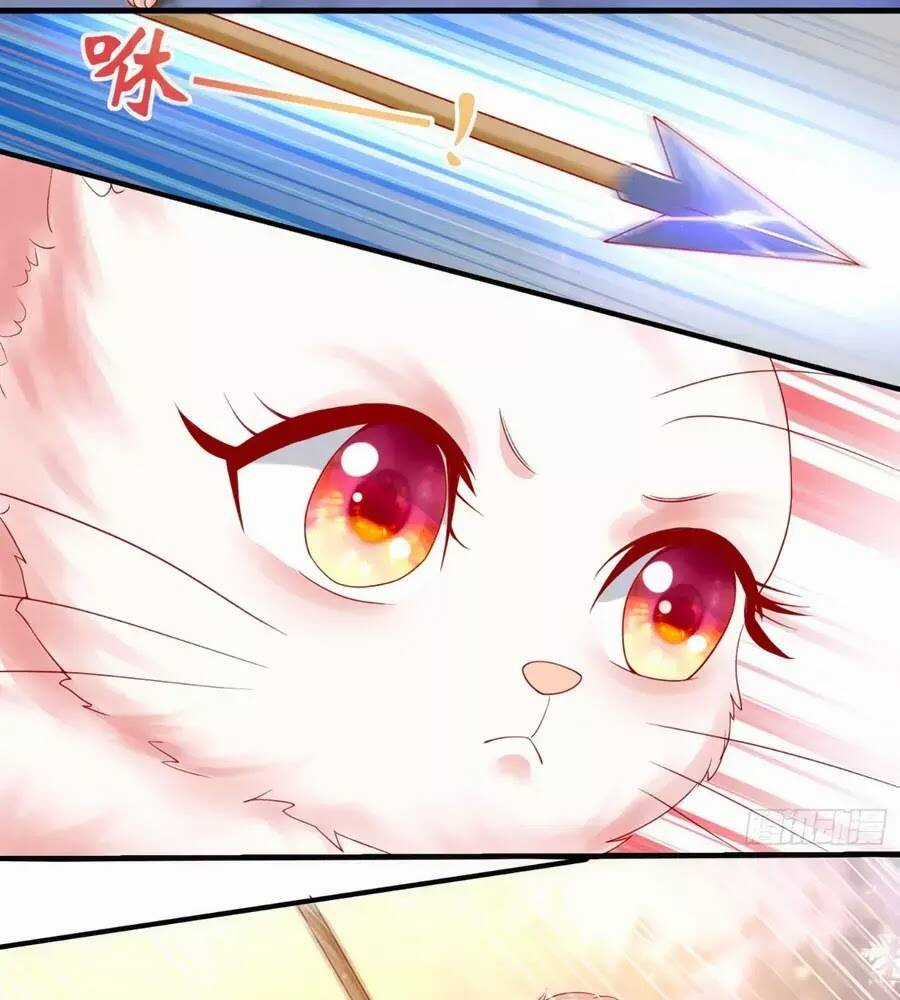 Dưỡng Thú Vi Phi - Chapter 5 - Trang 65