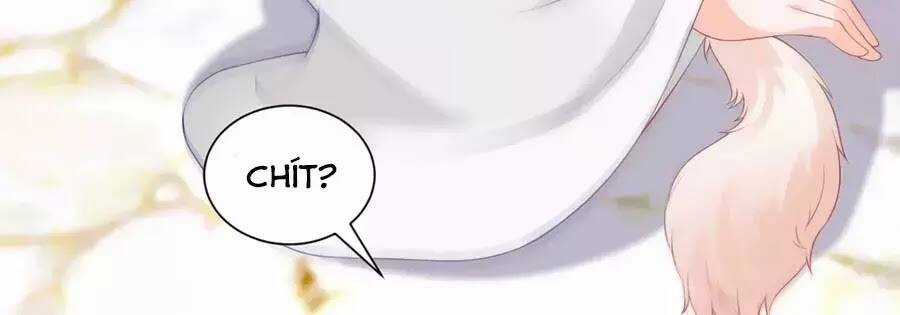 Dưỡng Thú Vi Phi - Chapter 5 - Trang 81