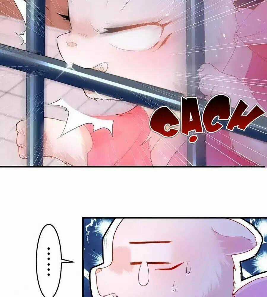 Dưỡng Thú Vi Phi - Chapter 6 - Trang 2